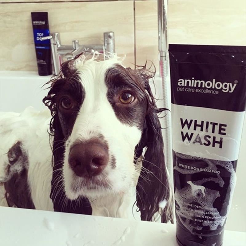 Animology White Wash Beyaz Tüylü Köpek Şampuanı 250 Ml