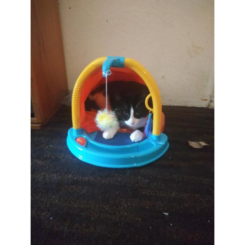 Hartz Jfc Hide N Play Cat Toy Kedi Oyun Parkı