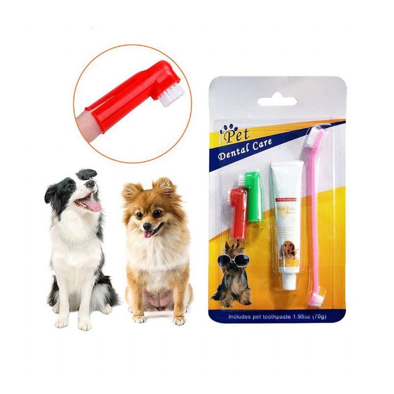 For Pets Dental Care Kit Fırça Diş Macunu Seti