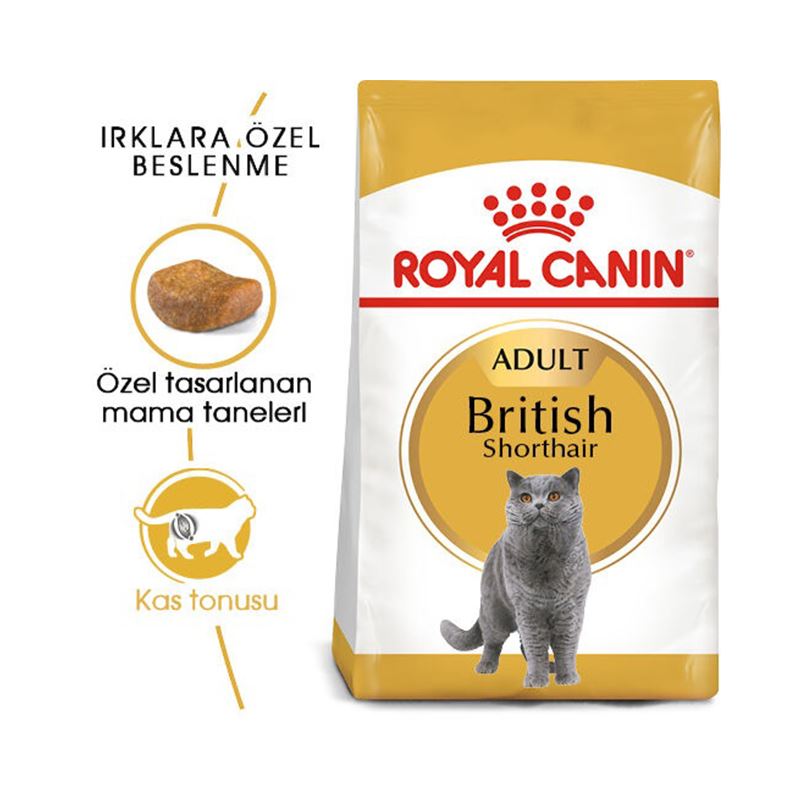 Royal Canin British Shorthair Yetişkin Kedi Maması 10kg