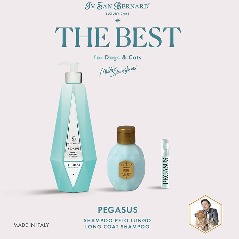 Iv San Bernard The Best Pegasus Şampuan Bakım Seti