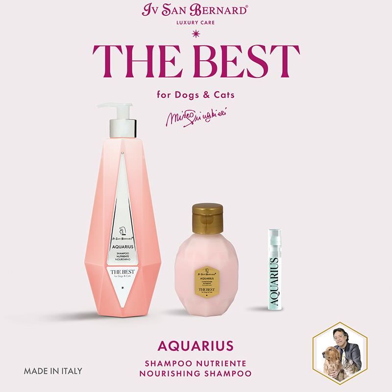 Iv San Bernard The Best Aquarius Şampuan Bakım Seti