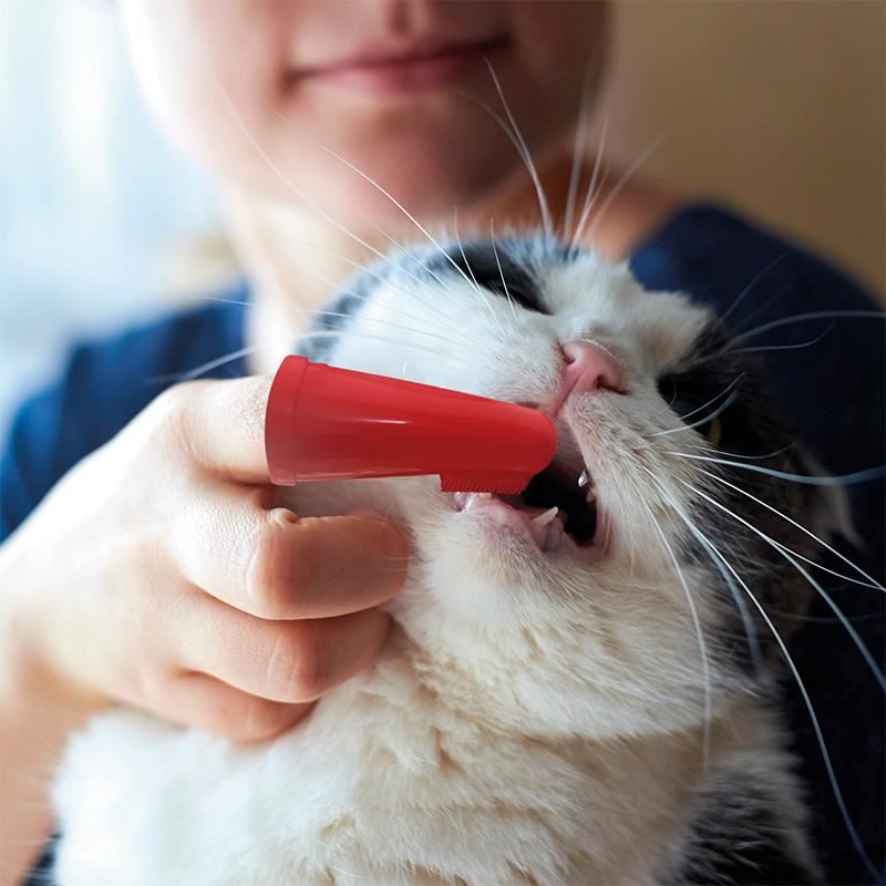 Beaphar Kedi ve Köpek Parmak Diş Fırçası