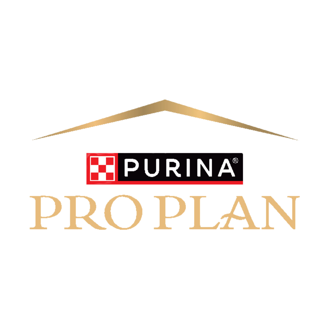 Pro Plan 12 Kg Köpek Mamalarına 2 Adet Caviara Kurutulmuş Tavuk Şerit Köpek Ödül Maması 80 Gr Hediye