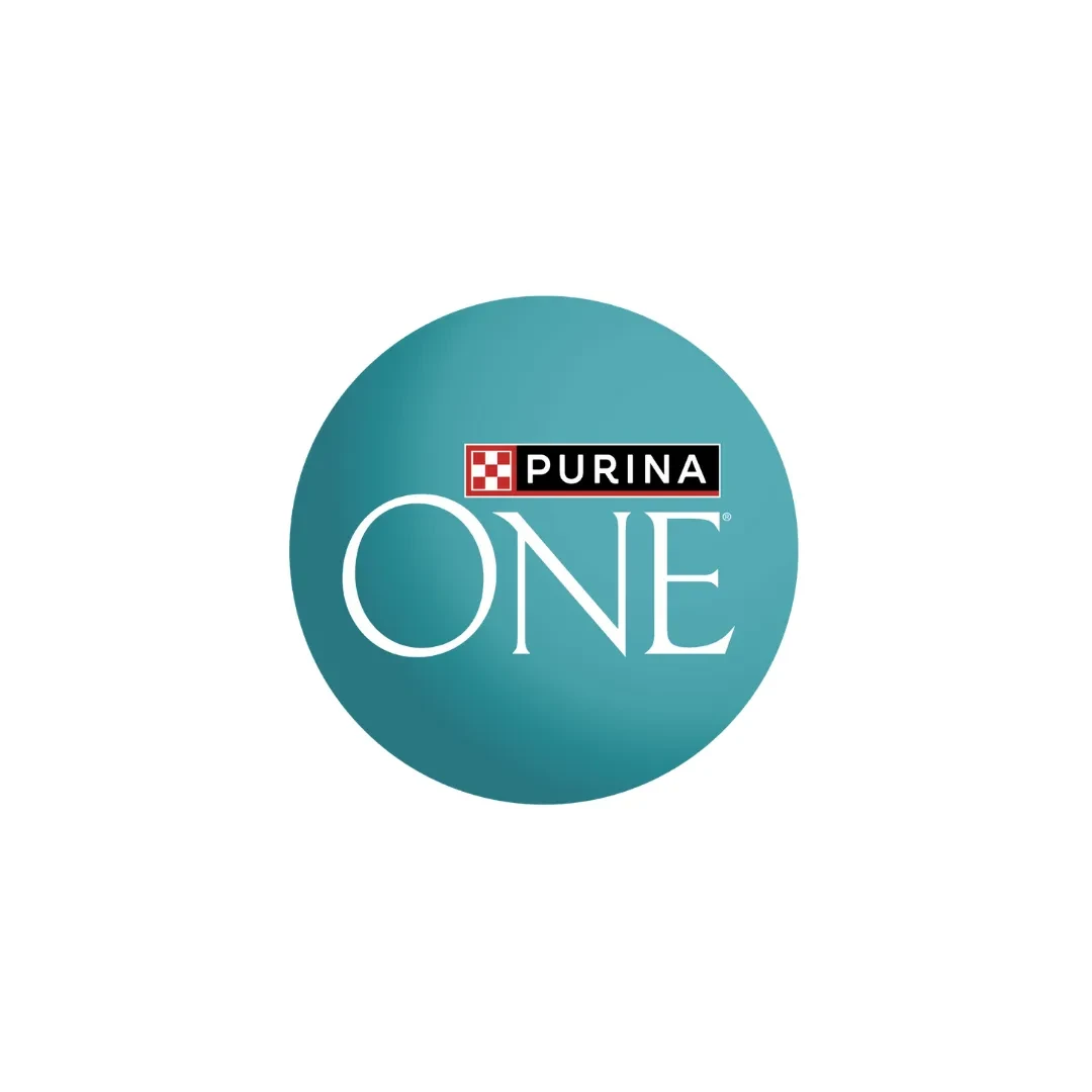 PURINA ONE