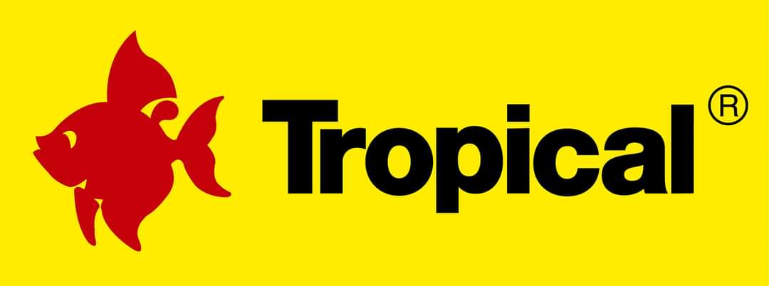 TROPICAL