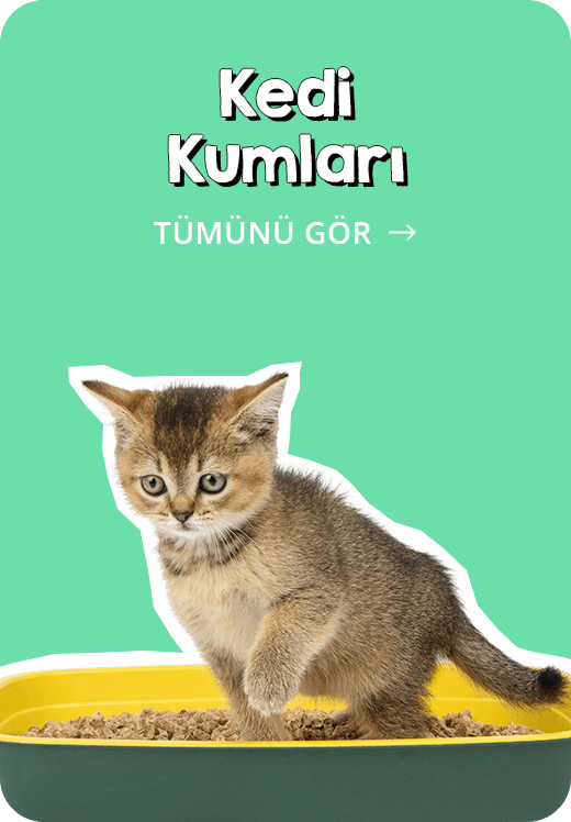 HİJENİK VE SAĞLIKLI