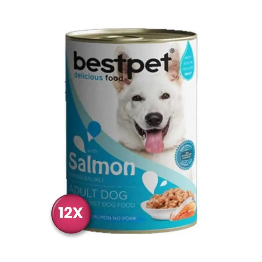 Bestpet Jöle İçinde Parça etli Balıklı Konserve Yetişkin Köpek Maması 400 gr x 12 Adet