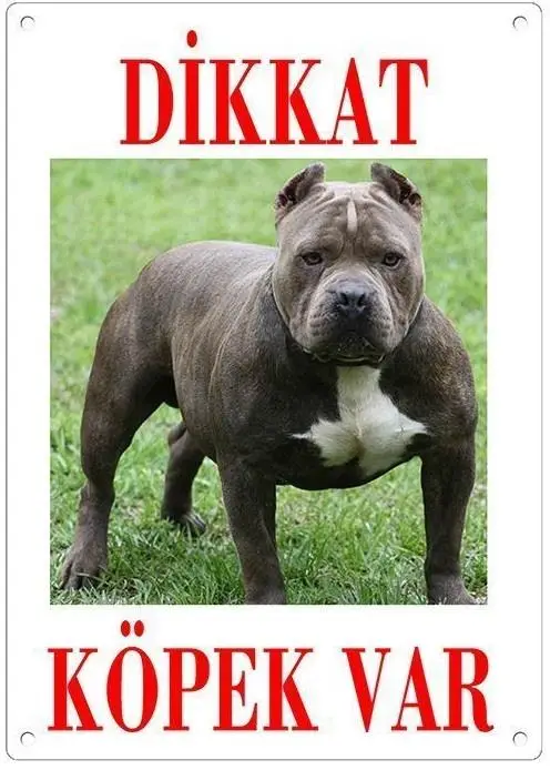 Dikkat Köpek Var Levhası Pitbul