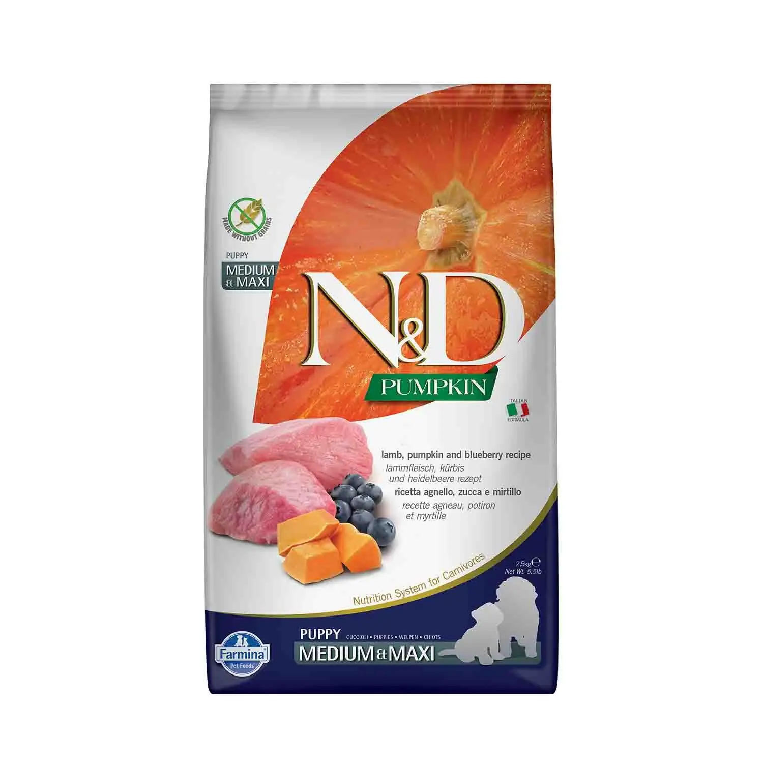N&D Pumpkin Tahılsız Bal Kabaklı Kuzu Etli Yaban Mersinli Orta ve Büyük Irk Yavru Köpek Maması 2,5 kg