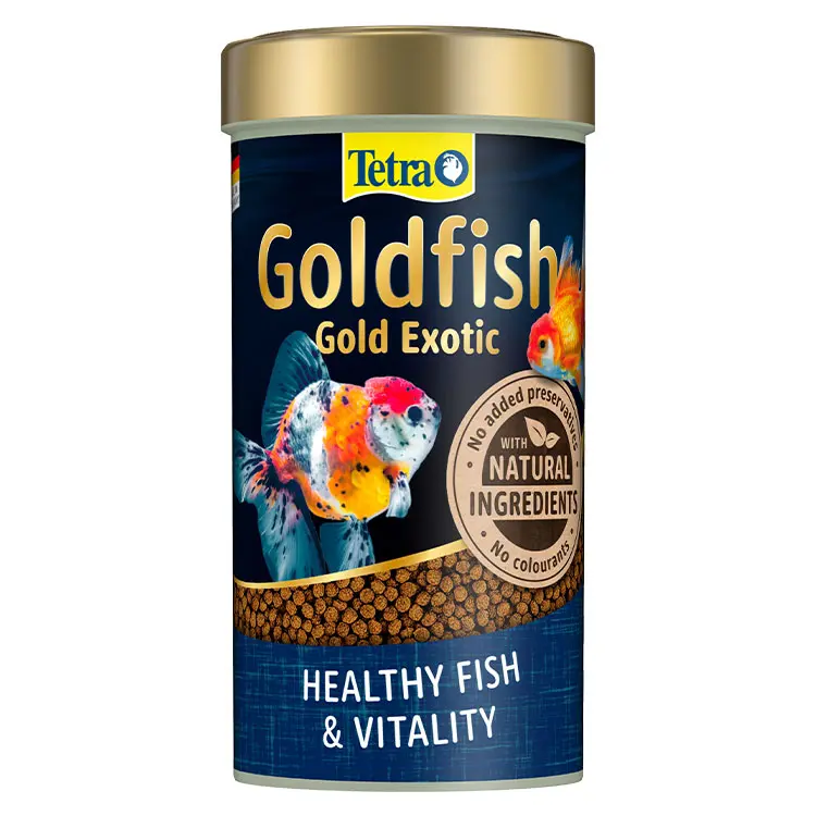 Tetra Goldfish Gold Exotic Egzotik Japon Balık Yemi