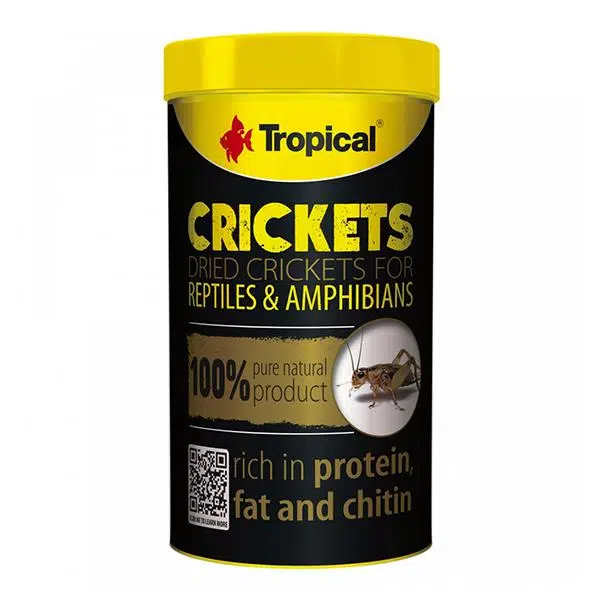Tropical Crickets Kurutulmuş Çekirge 25 Gr