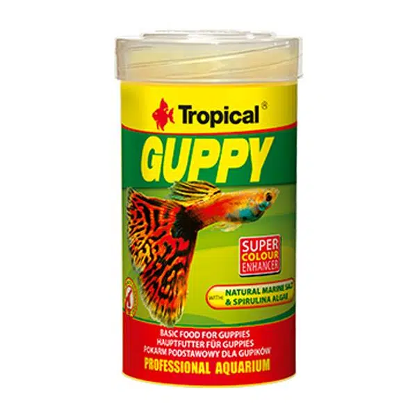 Tropical Guppy Pul Lepistes Yemi 50 Gr