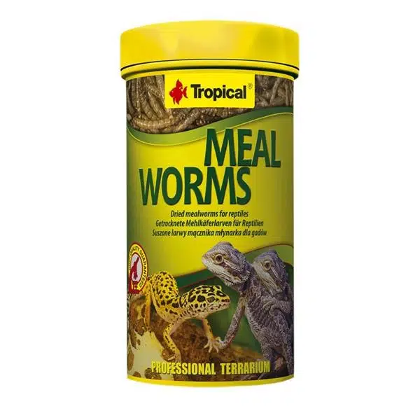 Tropical Meal Worms Kurutulmuş Un Kurdu 30 Gr
