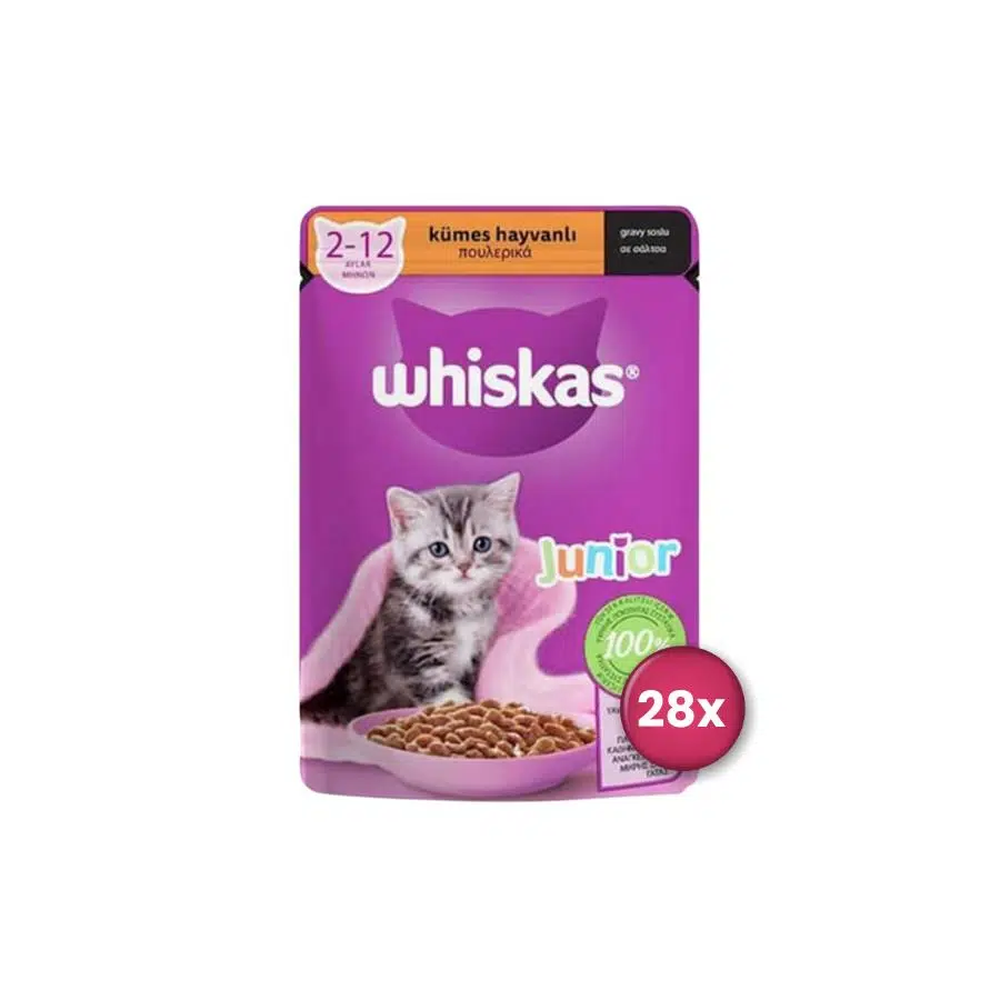 Whiskas Pouch Kümes Hayvanlı Yavru Kedi Konservesi 85 gr X 28 Adet
